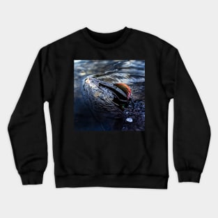 Grayling Crewneck Sweatshirt